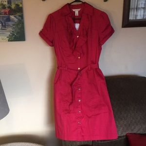 White House Black Market Women’s sz 6 button down dress NWT